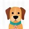 Vaccination icon